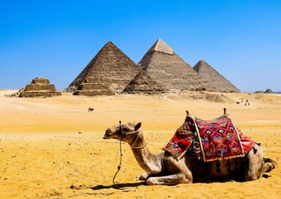 A camel in front of pyramids